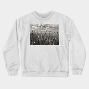 Dramatic Landscape Photography - Wheatfield in France Crewneck Sweatshirt